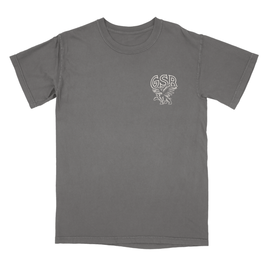 Gray t-shirt with a Georgia State Bird logo on the chest in white
